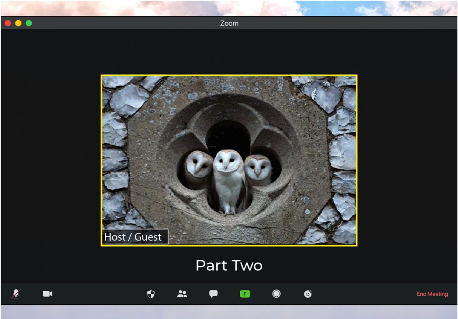 3 owls peering out a medieval stone window