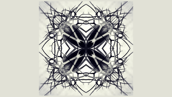 digital art graphic of spiky flowers