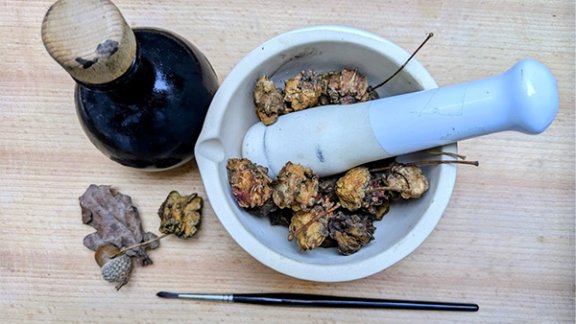 Mortar and pestle containing oak galls next to a bottle of gall oak ink.